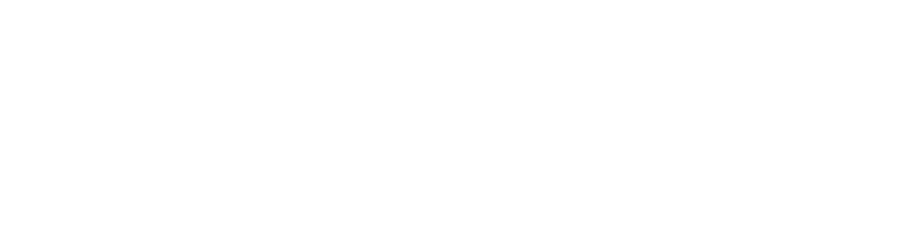 BuyBoxes Business Logo (White)