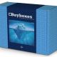 Buyboxes blue printed mailer box
