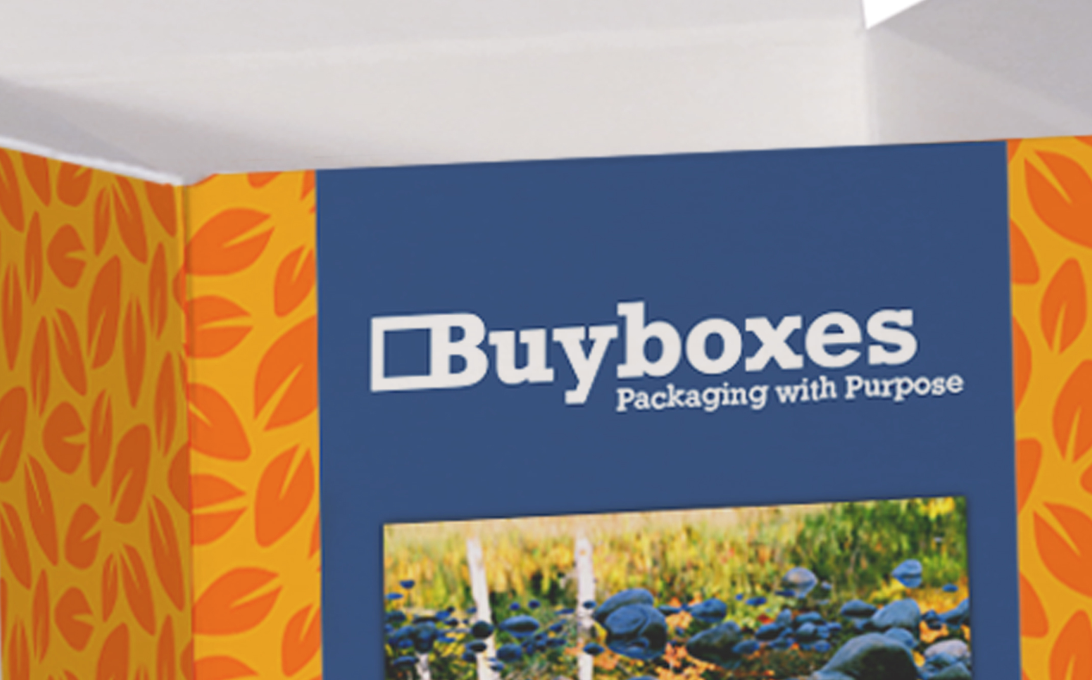 Order Custom Folding Boxes & Product Boxes